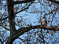 Adult; Easthampton, Massachusetts