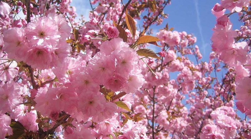 april