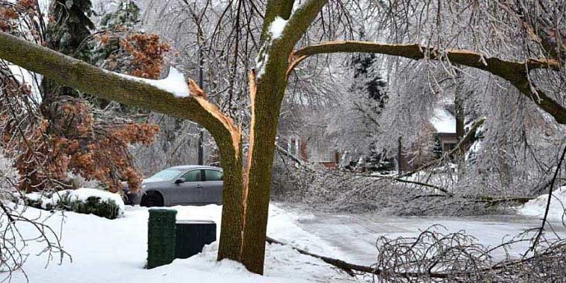 snow